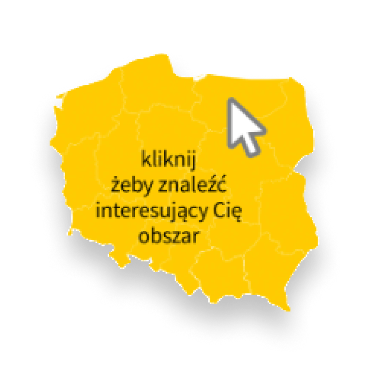 Baner główny